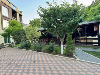 Vila Dan și Silvia - 3