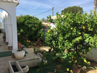 Esperanza - Torrevieja - 4