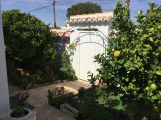 Esperanza - Torrevieja - 9