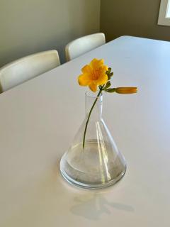 Summer in Grimstad - apartment - Grimstad - 7