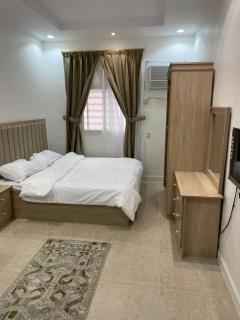 استوديو - Abha - 0