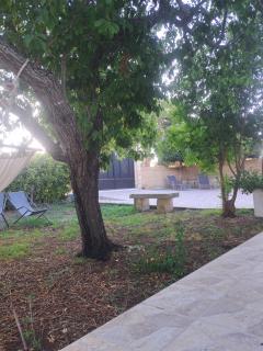 B&B Piccolo Vigneto - Otranto - 3