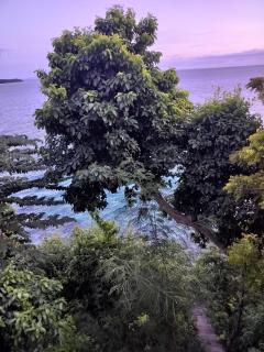 Country Home Resort II - Oslob - 4