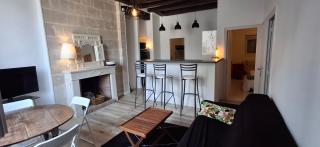 Trois pièces de charme hyper centre Tours - 7