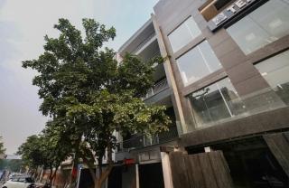 Collection O Kailash Enclave - Neu-Delhi - 1