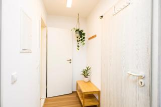 StayTime - Olive Nest - Dresda - 1