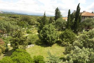 Villa Laura - Rab - 4