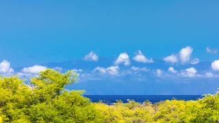ONCE UPON A TIDE Charming 4BR KaMilo Home with Bikes and Beach Gear - Waikoloa - 7