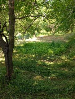 გიოს ქოხი - 2