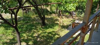 გიოს ქოხი - Nak'alak'evi - 1