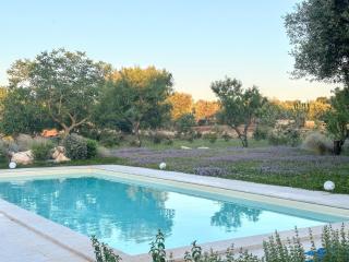 Trullo Terramare - Ceglie Messapica - 6