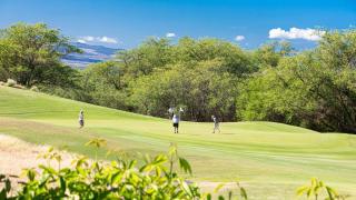 ❤PiH❤ Mauna Kea SunsetsOcean and Golf ViewsOptional Mauna Kea Hotel Privileges - Hapuna Beach - 3