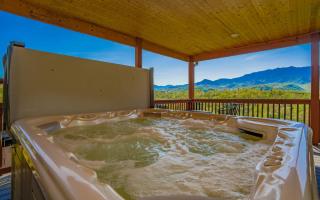 Beartastic Mountain View Lodge - 0