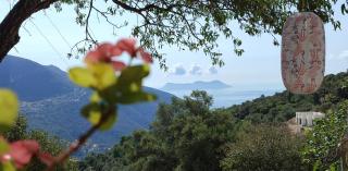 Το Λαϊνάκι by Fox Tale Guest House - Fternón - 8
