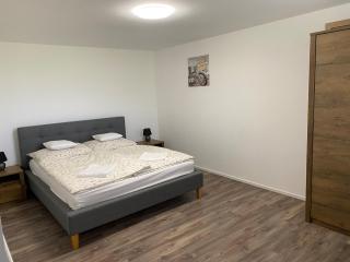 Magnolia apartman - Pusztavacs - 9