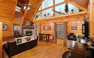 Bear Hiney Hideaway - 3