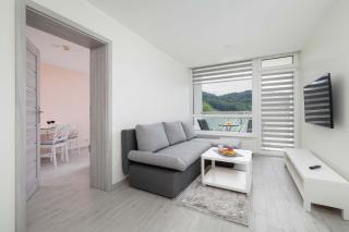 Wczasowa Apartment with Balcony Mountain View & Parking in Ustroń by Noclegi Renters - Ustroń - 0