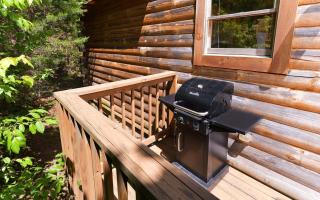 Mountain Breeze - Sevierville - 6
