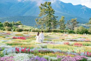 くじゅう花公園 キャンピングリゾート花と星 - Kuju - 0