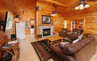 Snuggly Bear Cabin - Gatlinburg - 8
