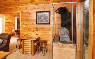 Snuggly Bear Cabin - Gatlinburg - 1