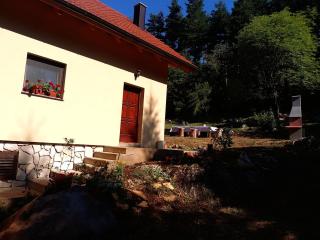 House sid forest - Otočac - 6