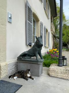 Manoir de la Côte-Dieu - Porrentruy - 5