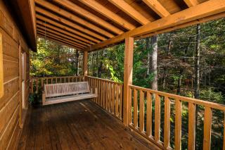 A Mountain Surprise - Pigeon Forge - 8
