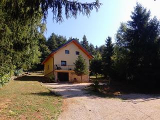House sid forest - Otočac - 8