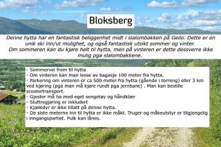 Bloksberg - cabin with amazing view and ski inn-out - Hol - 4