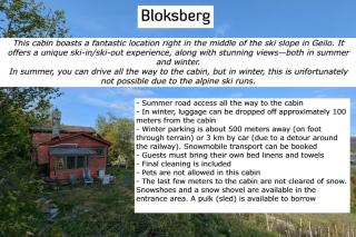 Bloksberg - cabin with amazing view and ski inn-out - Hol - 3