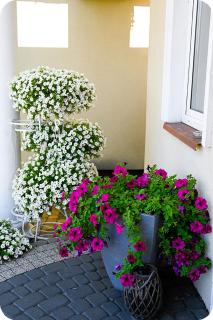 Hotel Gracja - Brok - 5