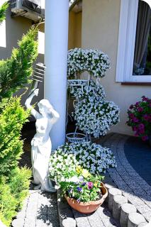 Hotel Gracja - Brok - 3