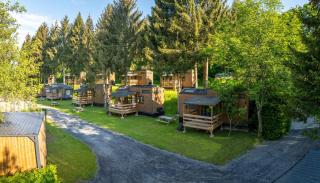 Landal Nature Parc Saint Hubert - - 7