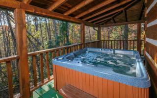 Laughing Bear - Pigeon Forge - 0