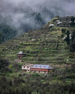 Krishna Cottage - - 6