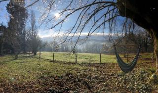 Domaine de la Contie - Issac - 7
