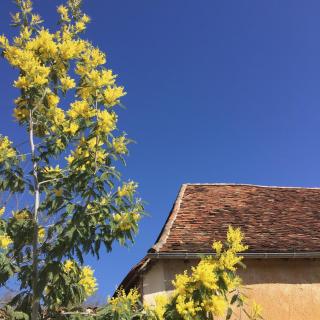 Domaine de la Contie - 1