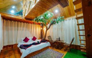 Krisha Luxury Stay - Jhalida - 8
