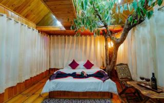 Krisha Luxury Stay - Jhalida - 4