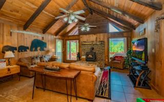Treetop Retreat - 4