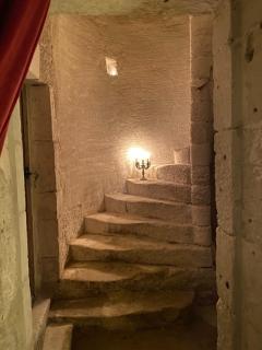 Château du Port Hublé - Chaniers - 5