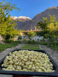 Mountain Dale Guest House - Gilgit - 6