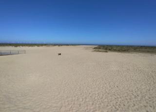 The Chateau by MPH Holidays - Great Yarmouth - 2