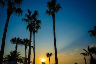 Oz Hotels Incekum Beach - Alanya - 9