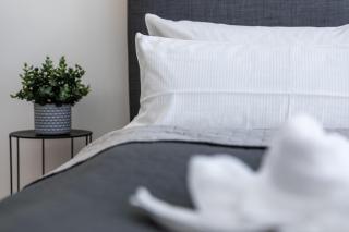 NEU! City-Loft-Apartment im Goethe Palais I 5P I Lift I Parkplatz I Zentrum I Helios - Aue - 1