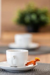 NEU! City-Loft-Apartment im Goethe Palais I 5P I Lift I Parkplatz I Zentrum I Helios - Aue - 4