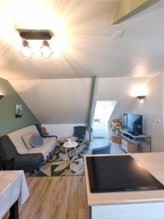 HAVRE MARIN DU CENTRE VILLE lumineux, spacieux à 5 min de la plage - 2