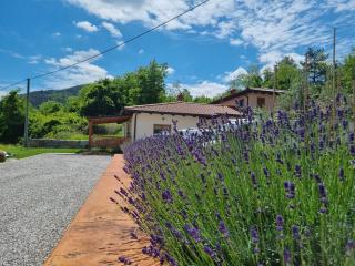 Zelkonn House - Branik - 9
