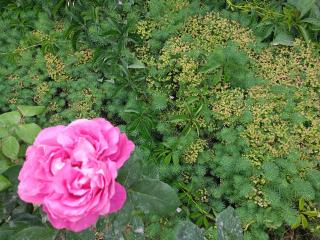 Пансионат Абрикос - 4